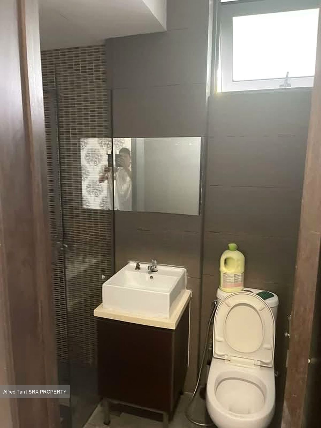 Peakview Estate (D16), Semi-Detached #529480571